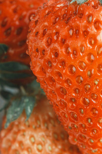 新鲜诱人的饱满草莓