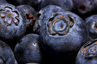 饱满蓝莓特写