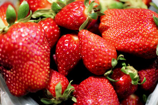 新鲜诱人的成熟草莓