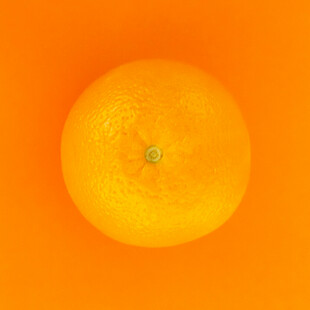 橙色背景上的鲜橙