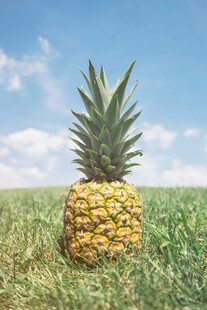 草地上的新鲜菠萝