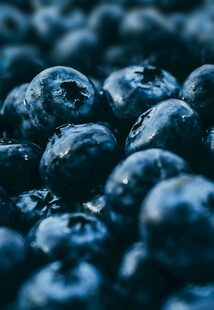饱满蓝莓特写