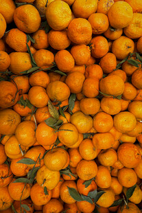 满满一堆新鲜橘子