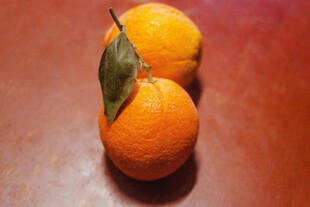 两个带叶的新鲜橙子