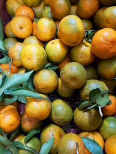 新鲜饱满的橘子堆叠