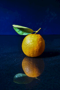 单个黄橙带叶置于深色台