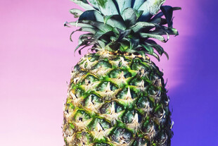 紫色背景前的新鲜菠萝