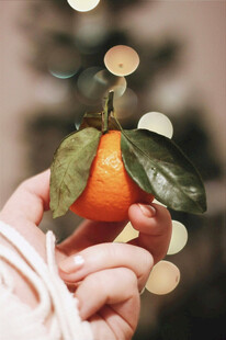 手捧带叶鲜橙