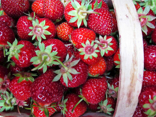 装满草莓的木篮