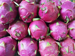 一堆新鲜火龙果