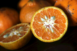 新鲜切开的多汁橙子