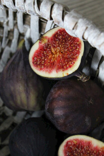 新鲜无花果特写