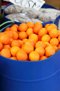 蓝色桶中饱满的金橘