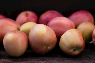 新鲜诱人的多彩苹果