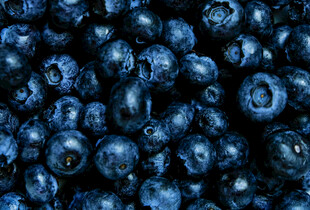 饱满蓝莓