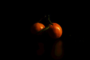黑背景下的两个新鲜番茄