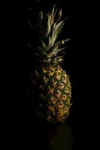 黑色背景下的新鲜菠萝