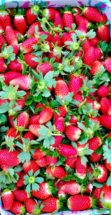 新鲜饱满的草莓堆叠