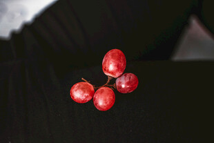 红果特写
