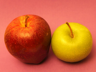 两个颜色各异的新鲜苹果