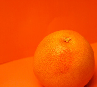 橙色鲜橙特写