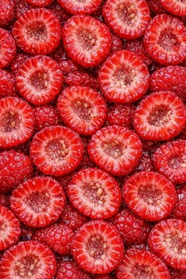 满屏鲜红诱人的树莓