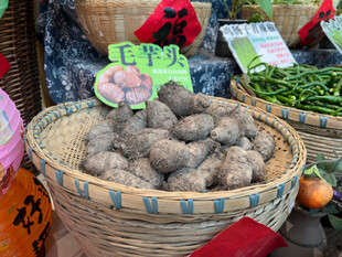 市场中摆放的新鲜芋头