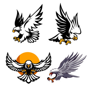 雄鹰图案