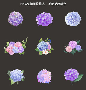 绣球花素材