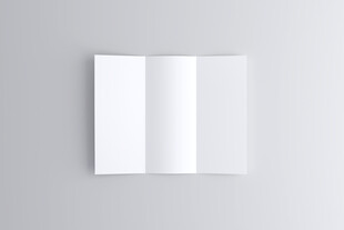 空白三折页样机展示