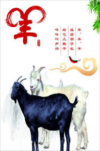 羊年主题双羊图