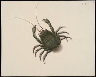 水墨风小龙虾绘画作品
