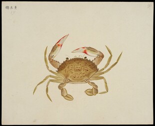 水墨风螃蟹绘画作品