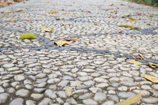 鹅卵石小径上的散落秋叶