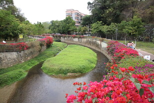 河畔繁花绿意盎然景观