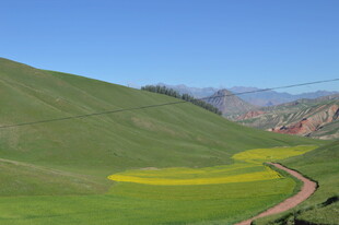 山间绿坡上的蜿蜒小路