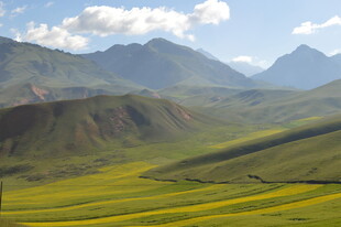 草原花海与远山美景