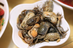 新鲜肥美的小螃蟹