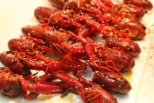 美味小龙虾诱人摆拍