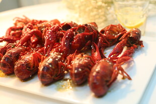 美味小龙虾摆放在盘中