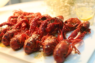 美味小龙虾摆放在盘中