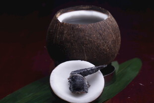 椰壳茶具与黑色茶饼