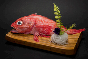 精致摆盘的鲜红大眼鱼