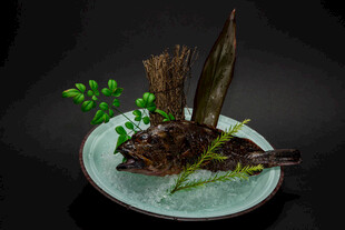 中式创意摆盘 枯木绿植料理