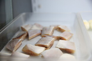 冷冻食物块