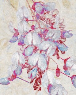 花卉图案背景