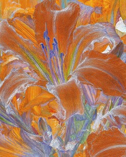 绚丽多彩抽象花卉图案