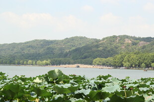 湖畔荷叶与远山美景