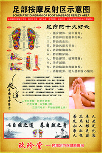 足部按摩反射区示意图