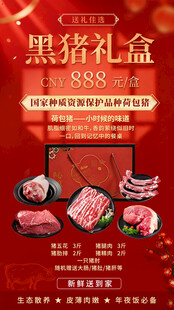 黑猪礼盒特惠促销 红色 海报 
